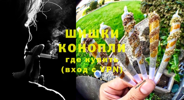 трава Аркадак