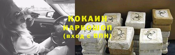 трава Аркадак