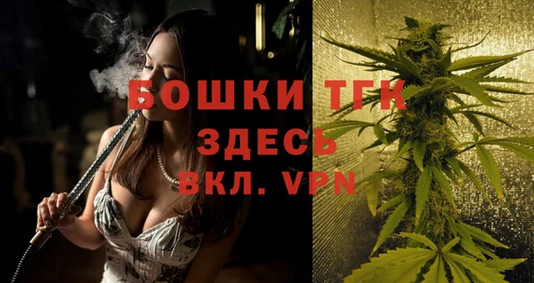 трава Аркадак