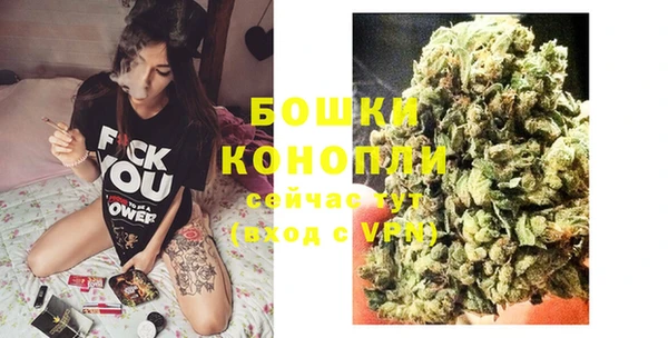 трава Аркадак