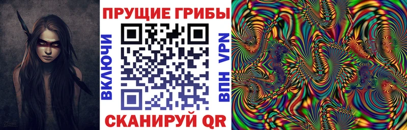 дарнет шоп  Лихославль  Галлюциногенные грибы мицелий 